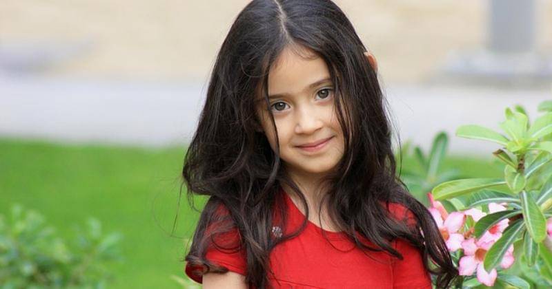 Pixabay/Talibabdulla